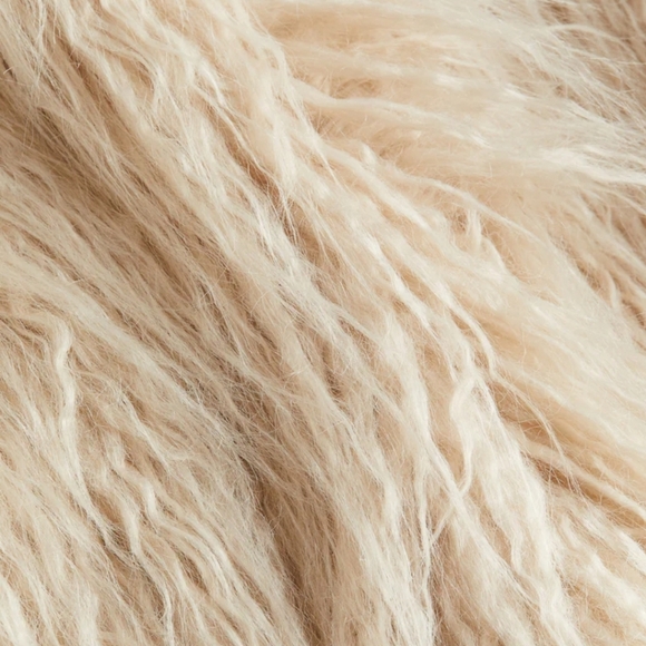 H&M Fur Coat - Picture 2 of 5